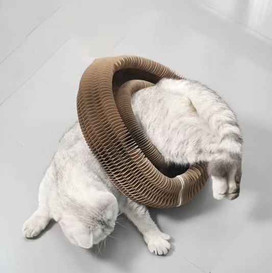 🐾 Scratch Loop by Furlo – Endless Play & Furniture-Saving Fun for Cats